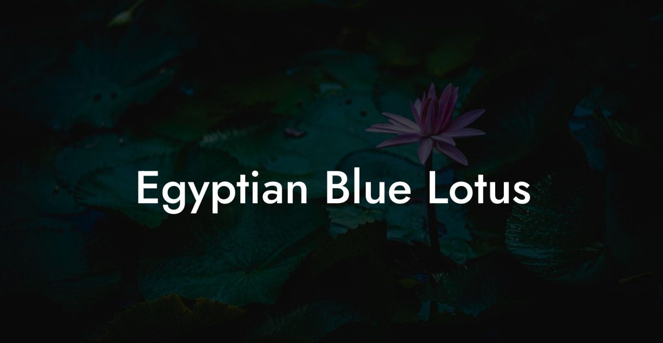 Egyptian Blue Lotus