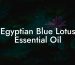 Egyptian Blue Lotus Essential Oil