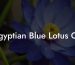 Egyptian Blue Lotus Oil