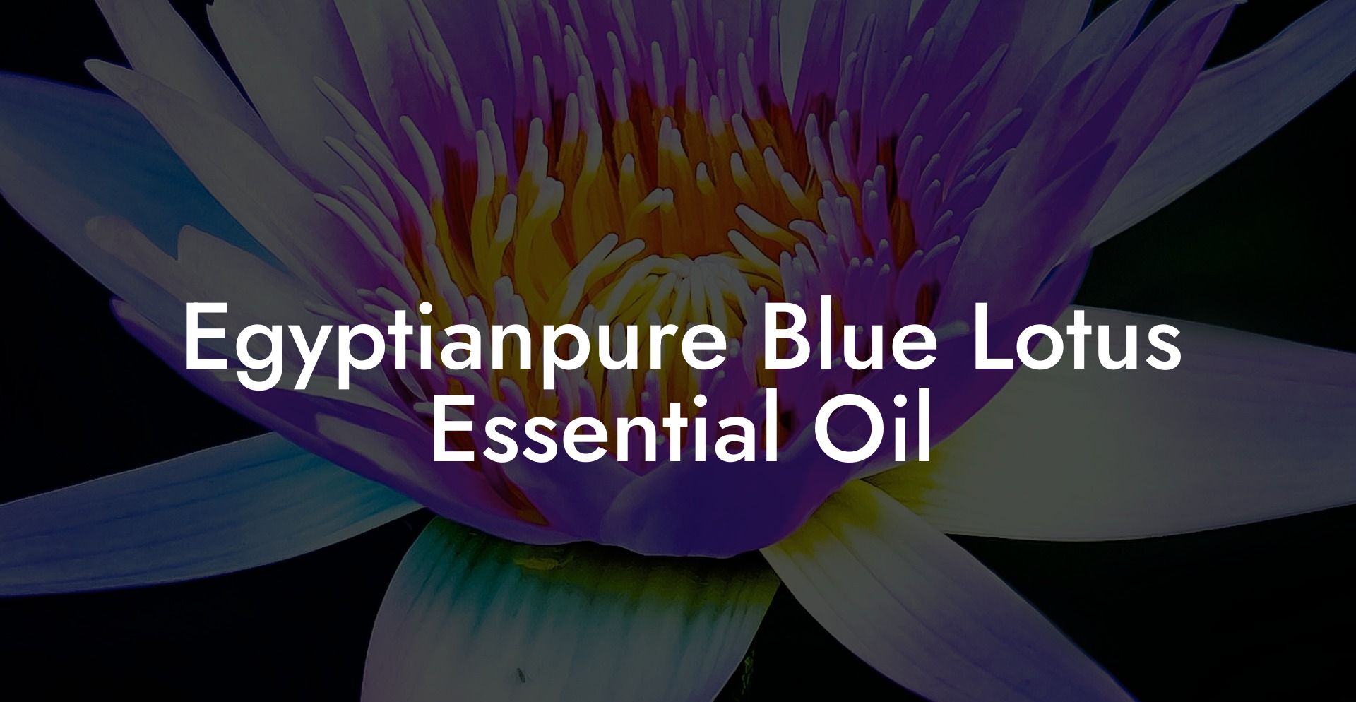 Egyptianpure Blue Lotus Essential Oil
