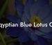Eqyptian Blue Lotus Oil