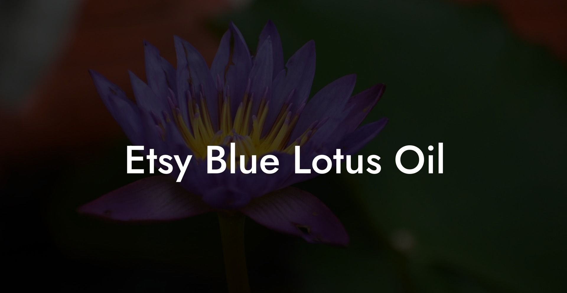 Etsy Blue Lotus Oil