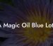 FA Magic Oil Blue Lotus
