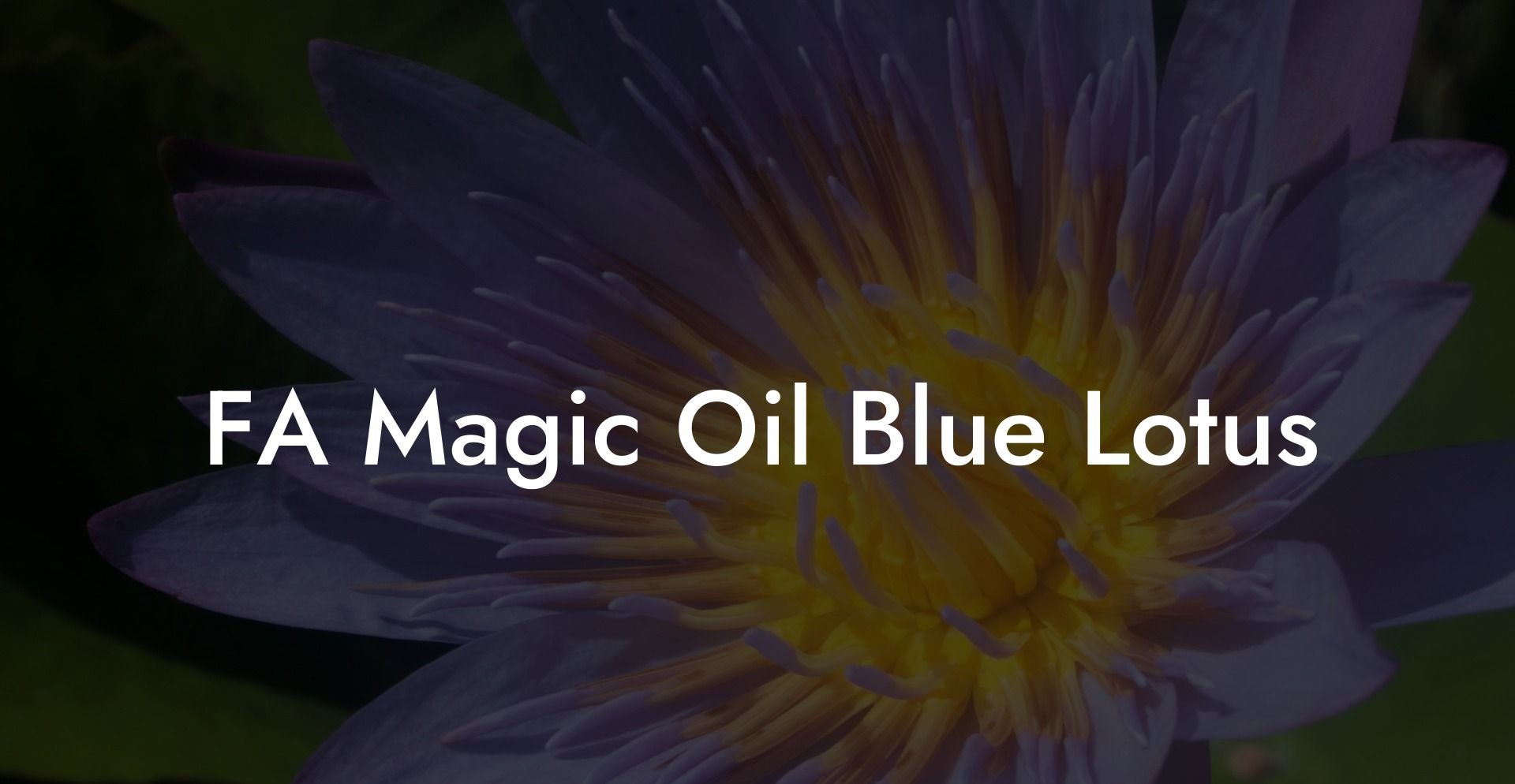 FA Magic Oil Blue Lotus