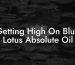 Getting High On Blue Lotus Absolute Oil