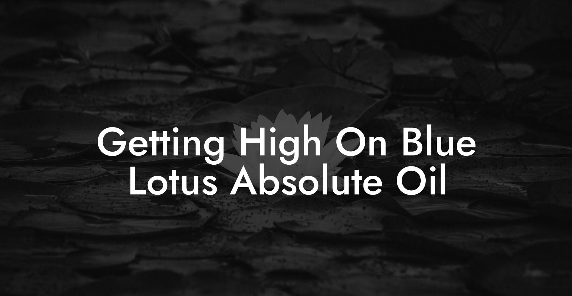 Getting High On Blue Lotus Absolute Oil