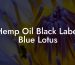 Hemp Oil Black Label Blue Lotus
