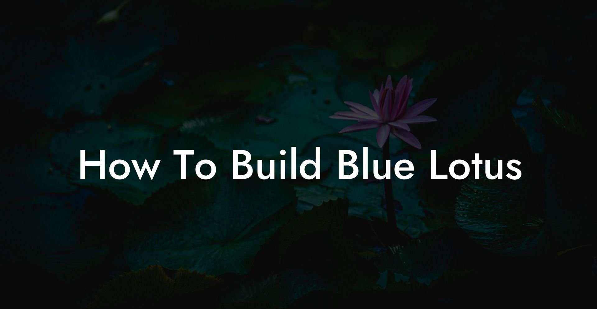 How To Build Blue Lotus