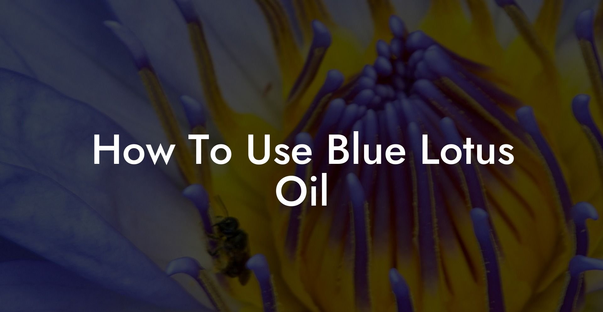 How To Use Blue Lotus Oil