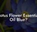 Lotus Flower Essential Oil Blue?
