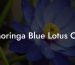 Moringa Blue Lotus Oil