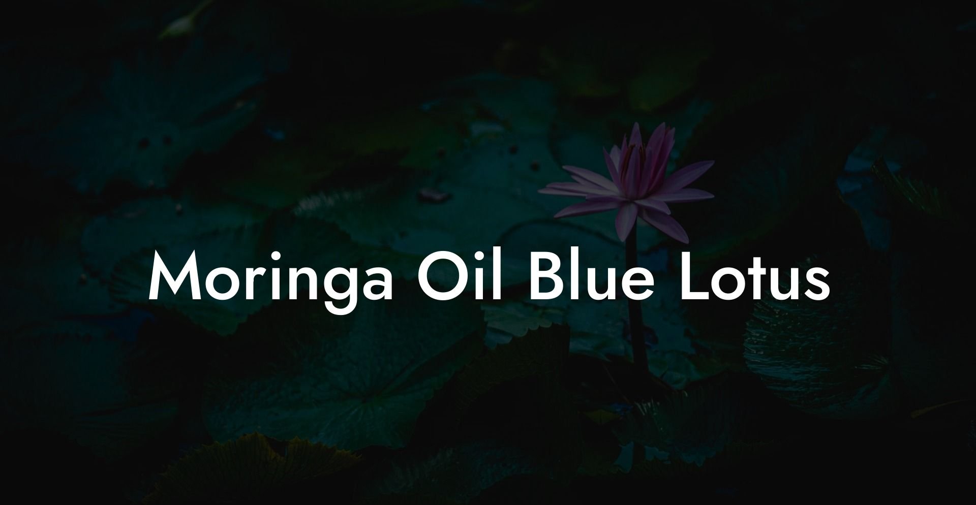 Moringa Oil Blue Lotus