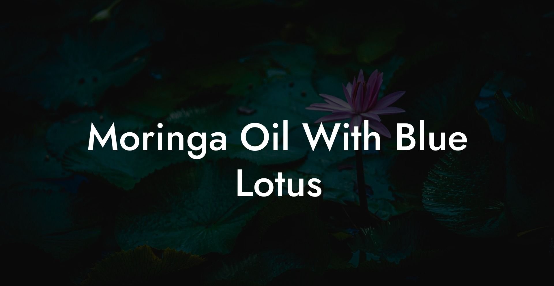 Moringa Oil With Blue Lotus