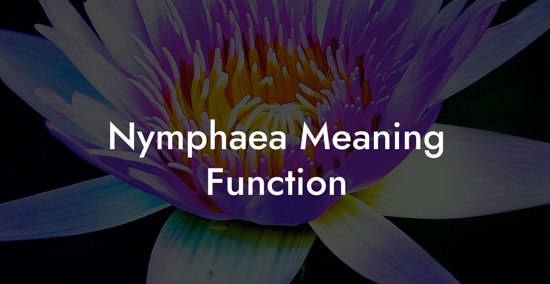 Nymphaea Meaning Function