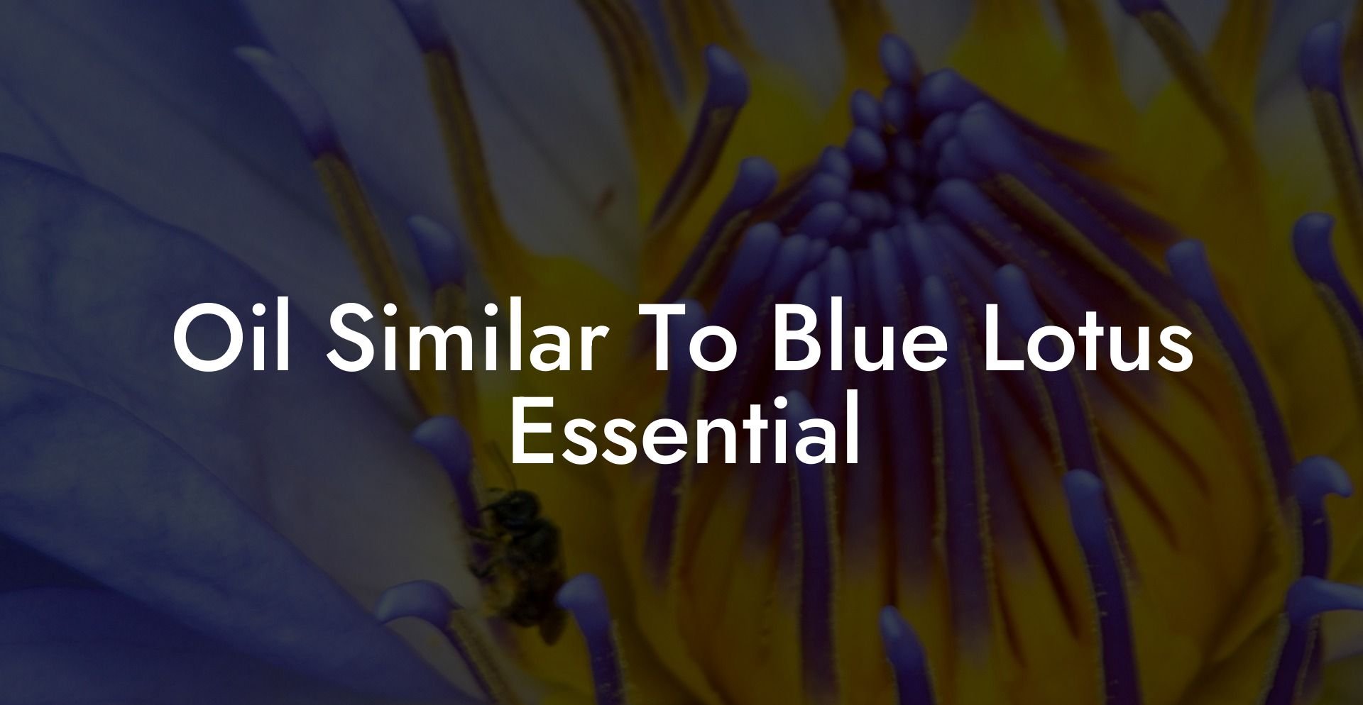 Oil Similar To Blue Lotus Essential