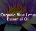Organic Blue Lotus Essential Oil