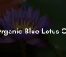 Organic Blue Lotus Oil