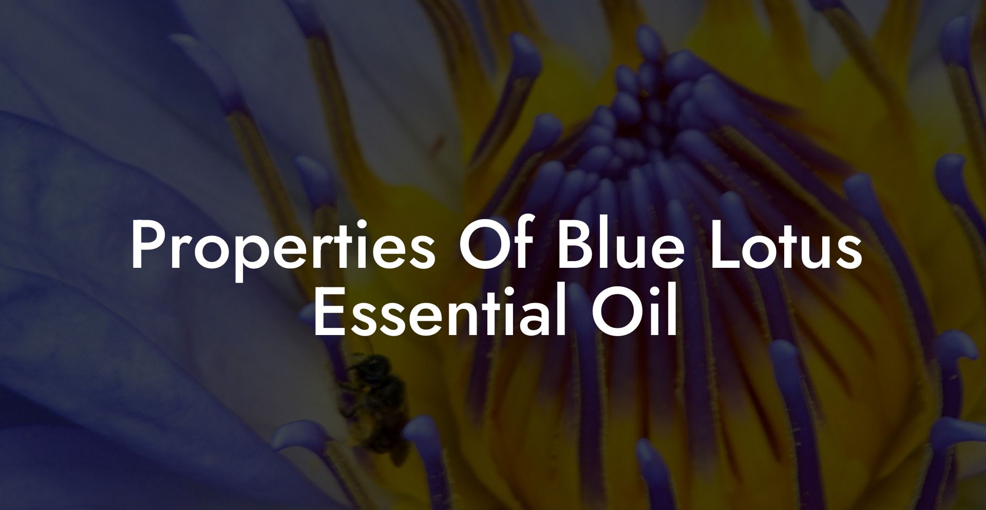 Properties Of Blue Lotus Essential Oil