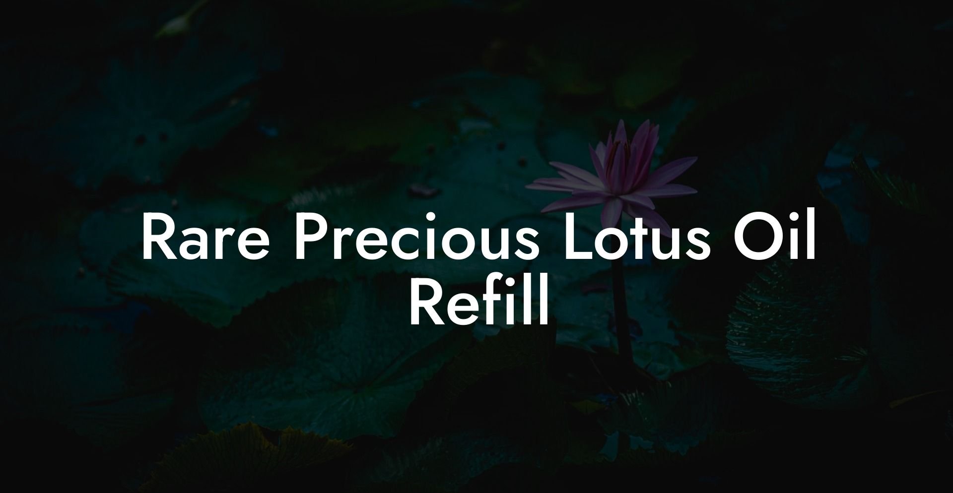 Rare Precious Lotus Oil Refill