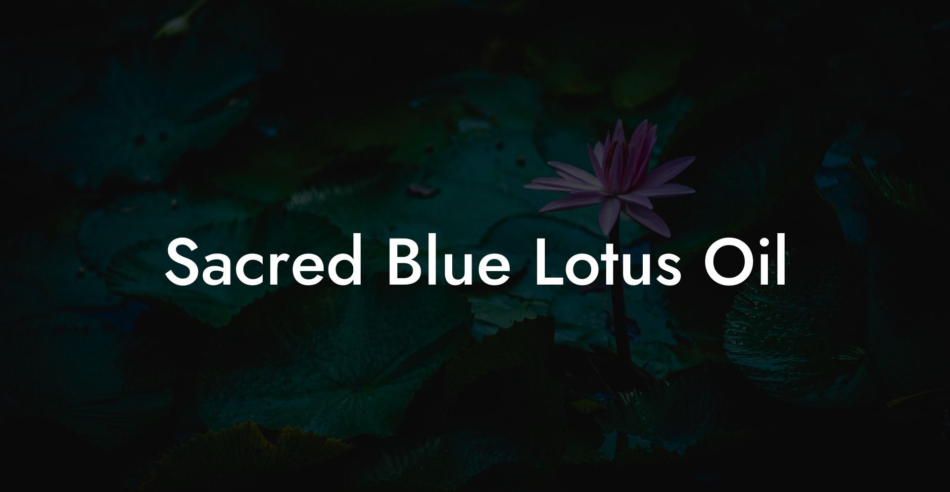 Sacred Blue Lotus Oil