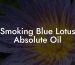 Smoking Blue Lotus Absolute Oil
