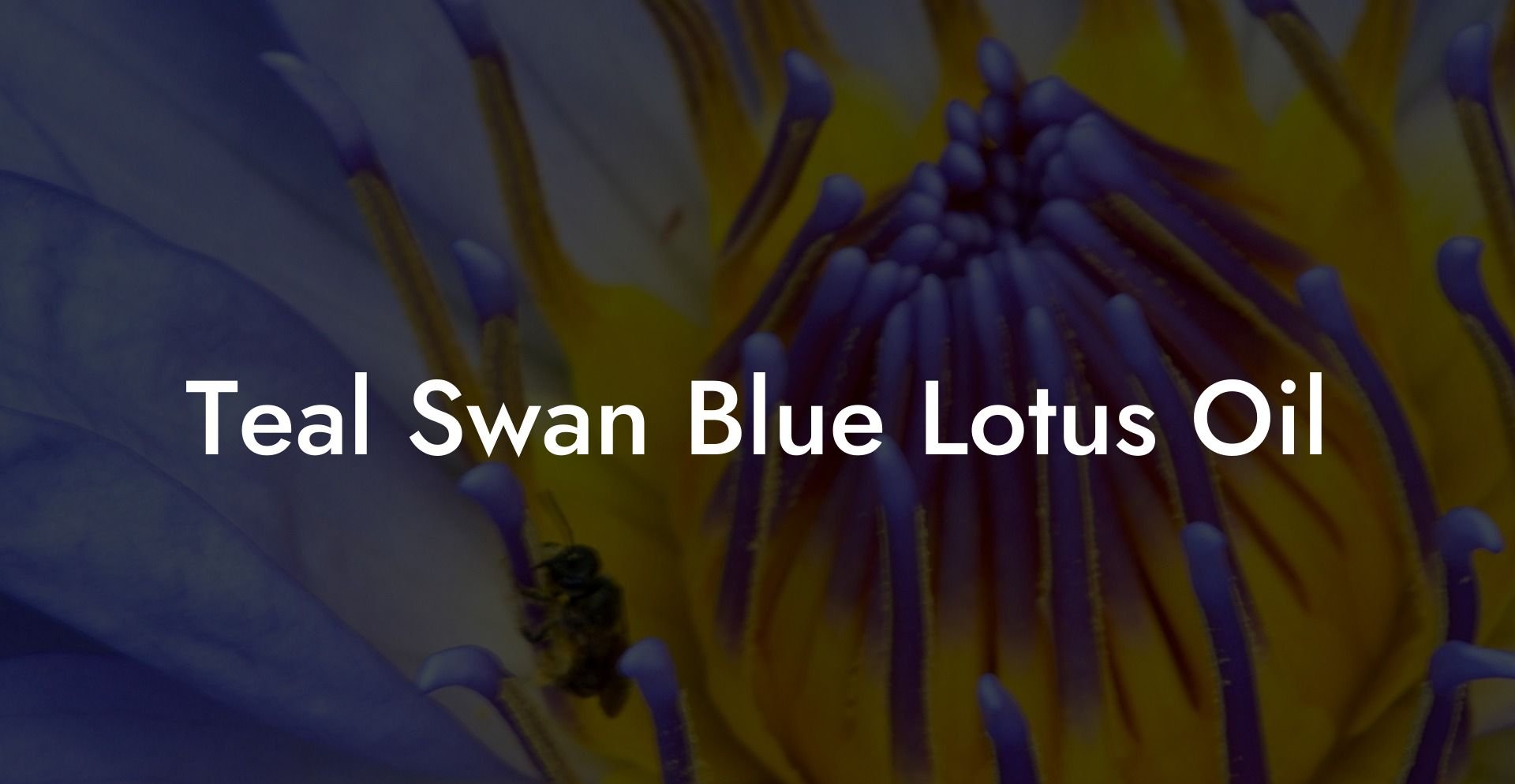 Teal Swan Blue Lotus Oil