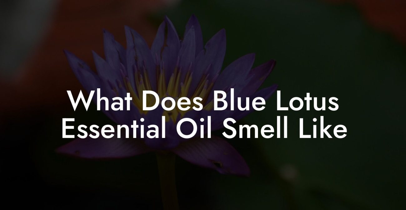 What Does Blue Lotus Essential Oil Smell Like
