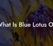What Is Blue Lotus Oil