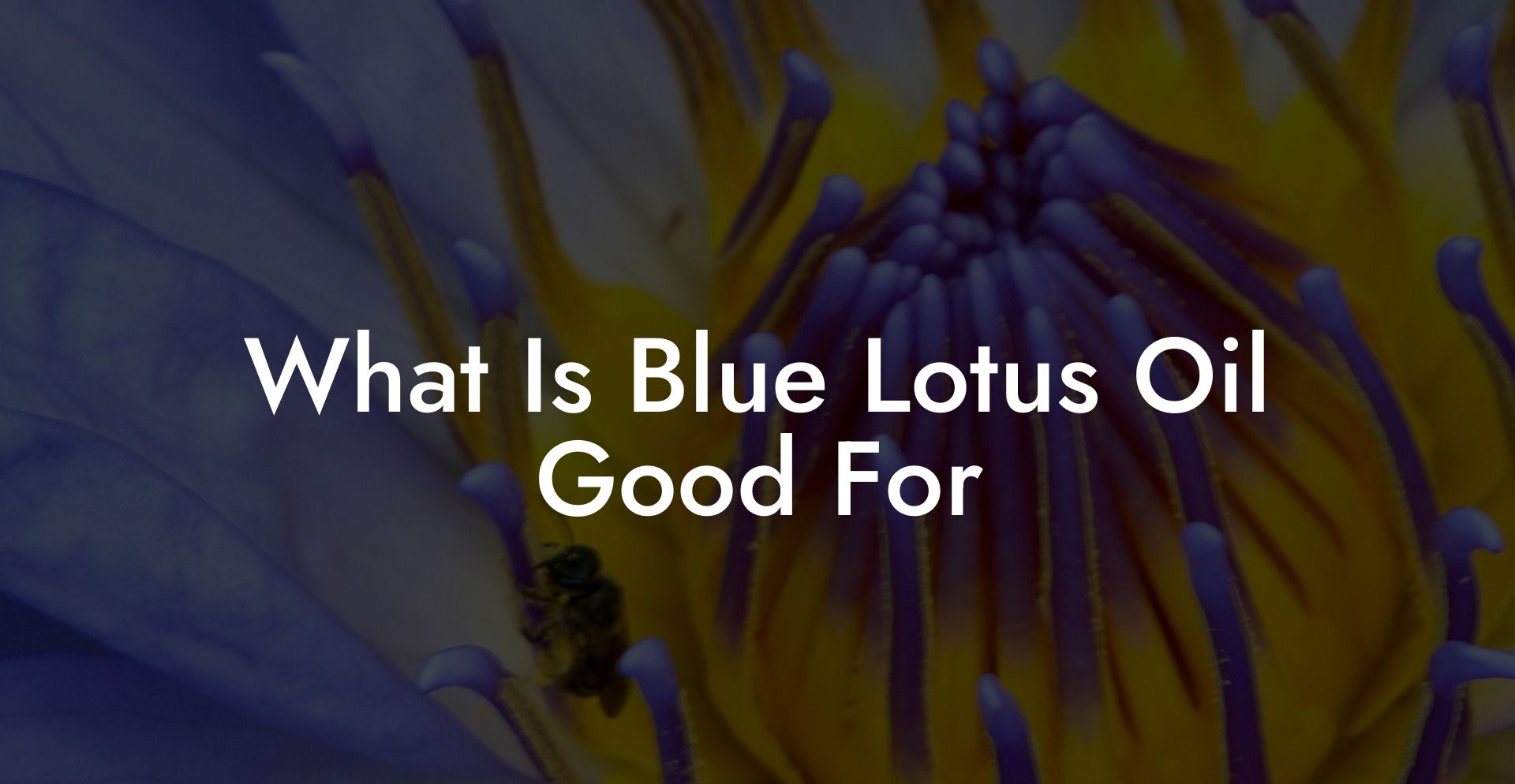 What Is Blue Lotus Oil Good For